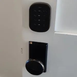 smart home remote controlled door locks