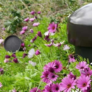 Outdoor Landscape Speakers